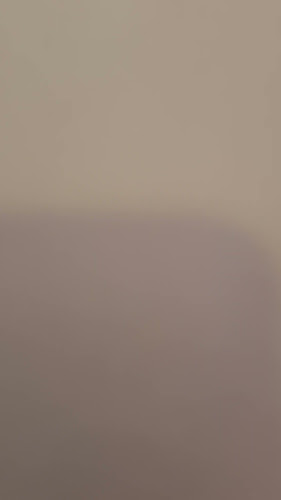 Comentarii opinii despre Hello Miss Frida