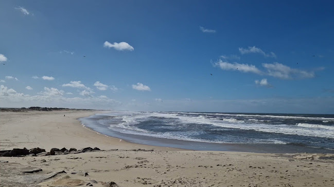 Rua do Labrego, 3840-261 Praia da Vagueira, Vagueira