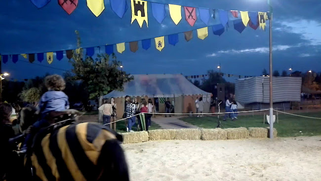 Joaquim Lopes-sociedade Unipessoal Lda