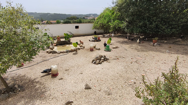Opinii despre Solar dos Amigos în Caldas da Rainha - Gastronomia e hotelaria