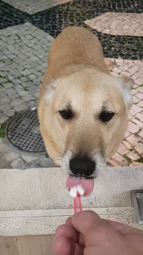 Crema di Gelato Lagos, Gelateria e Sorbetteria - Lagos