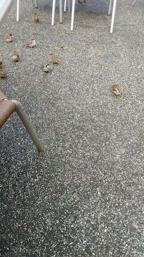 Av. do Brasil 42, 4480-837 Vila do Conde