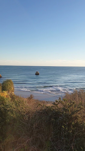 Morango Ice - Gastronomia e hotelaria