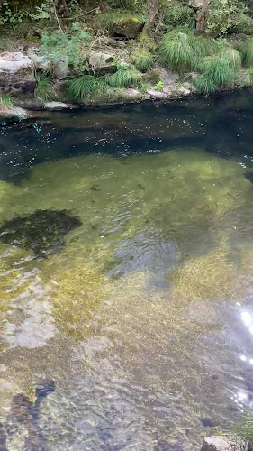 Moinhos da Lomba Adega Regional