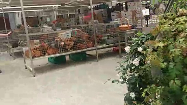 Opinii despre Mercado Municipal de Matosinhos în Matosinhos - Gastronomia e hotelaria