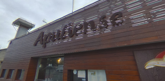 Comentarii opinii despre Restaurante Apuliense