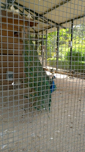 Restaurante Quinta da Dança - Castelo Branco