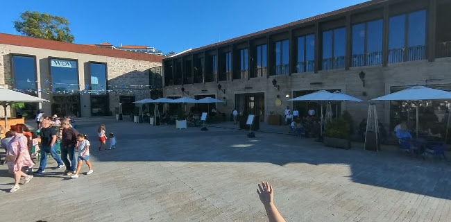 Golden Catch - Vila Nova de Gaia