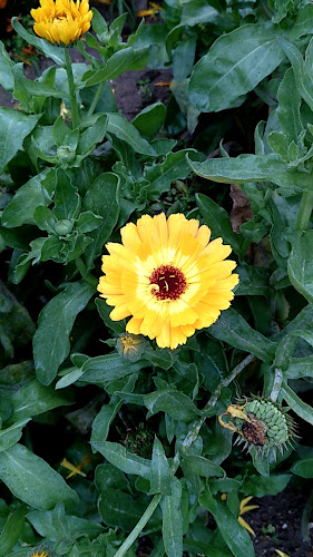 Praça Dr. António Padinha 39, 8800-637 Tavira