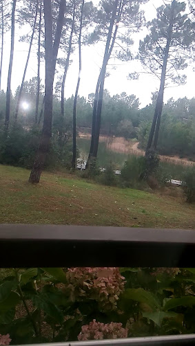 Comentarii opinii despre São Lourenço by Trincanela