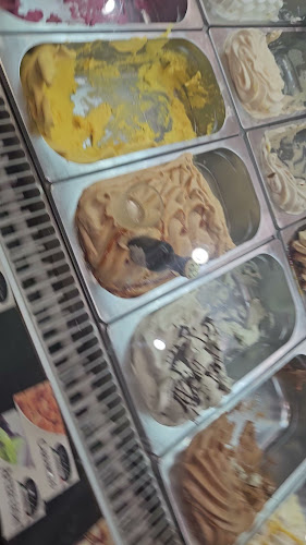 Reviews of Gelataria da Rocha in Portimão - Gastronomia e hotelaria
