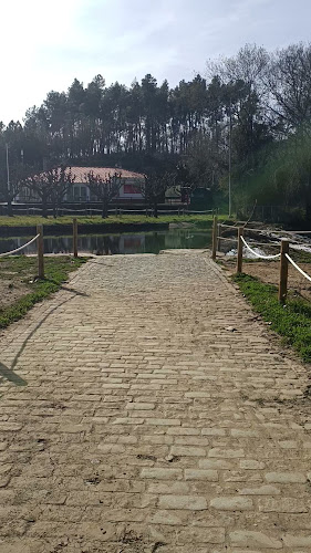Praia fluvial o moinho, 6090-000 Benquerença