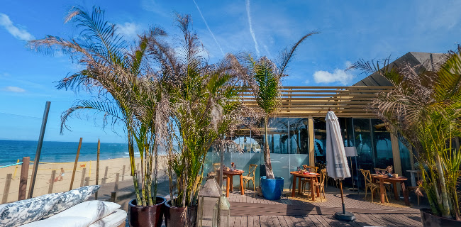 Comentarii opinii despre L'kodac