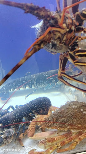 Marisqueira Casablanca - Viseu