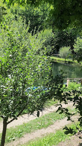 Rua da Estrada Nacional, 1200, 4820-820 Várzea Cova