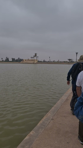 Estr. da Circunvalação 8000, 4200-162 Porto