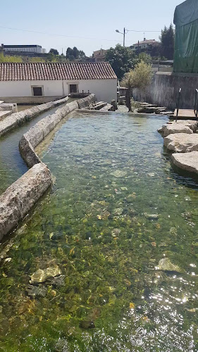 Opinii despre Quintal da Fonte în Ançã - Gastronomia e hotelaria