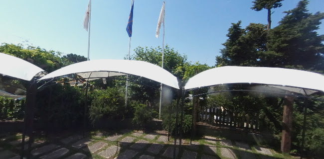 Opinii despre Horacius Bar în Mira de Aire - Gastronomia e hotelaria