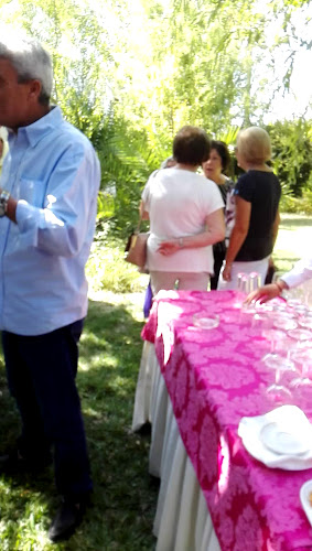 Opinii despre Freira Bar în Gaio-Rosário - Gastronomia e hotelaria