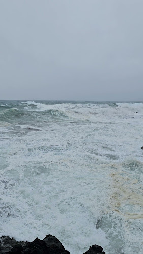Opinii despre Cais 20 în São Roque - Gastronomia e hotelaria