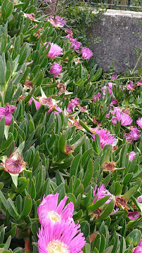 Opinii despre Restaurante O Cantinho da Mimosa în Alvalade - Gastronomia e hotelaria