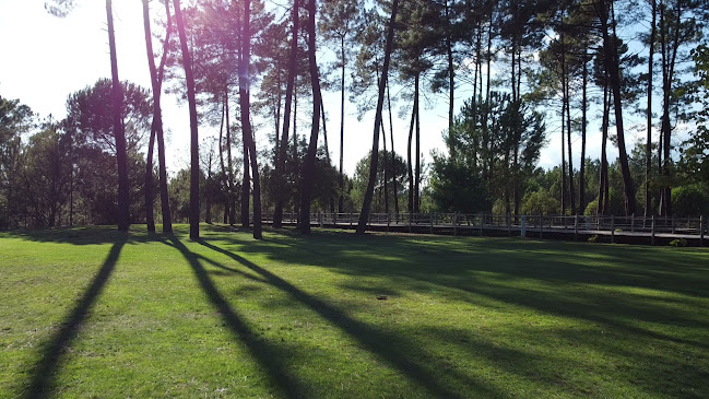 São Lourenço by Trincanela