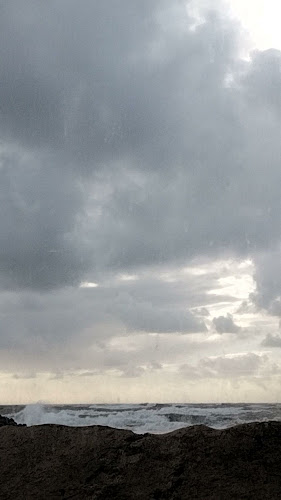 Comentarii opinii despre Green Coast Beach Bar