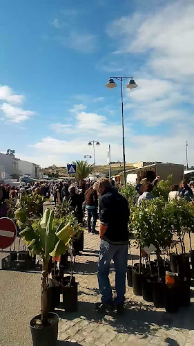 Comentarii opinii despre Mercado Municipal de Altura