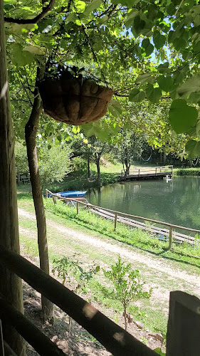 Comentarii opinii despre Piovacora Pesca Lazer e Restaurante