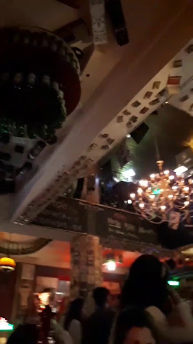 Reviews of Bar Saloon Cintra in Lisboa - Gastronomia e hotelaria