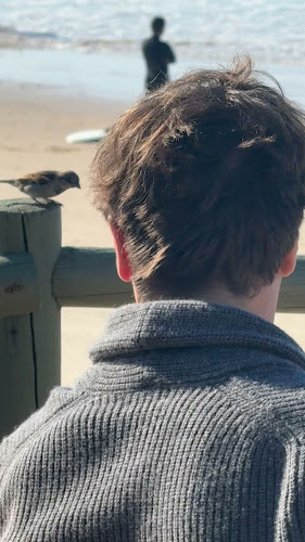 Tribo da Praia - Bar da Praia - Ferrel