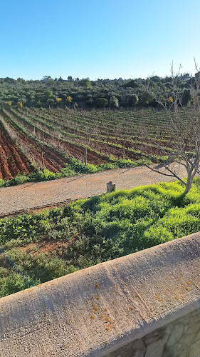 Quinta Dos Vales - Wine Estate