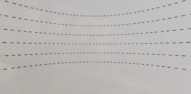 R. Luís Augusto Palmeirim 11D, 1700-273 Lisboa