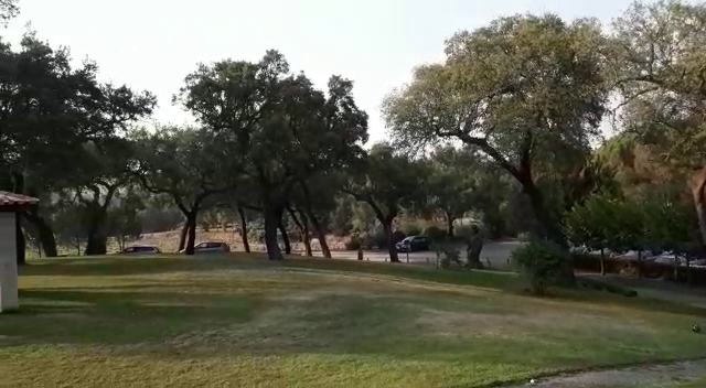 Restaurante Quinta da Dança