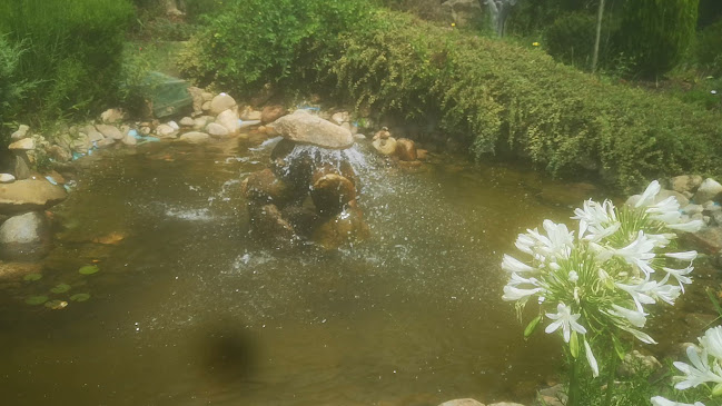 Restaurante O Petisco - Pinhel