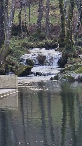 Encosta do Moinho - Gralheira