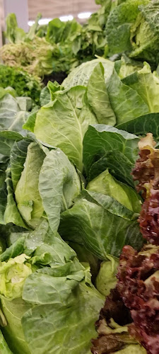 Mercado Municipal da Póvoa de Varzim - Gastronomia e hotelaria