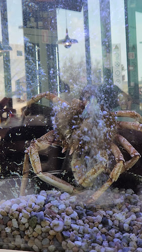 O Nosso Prego Restaurante & Cervejaria - Costa da Caparica - Costa da Caparica