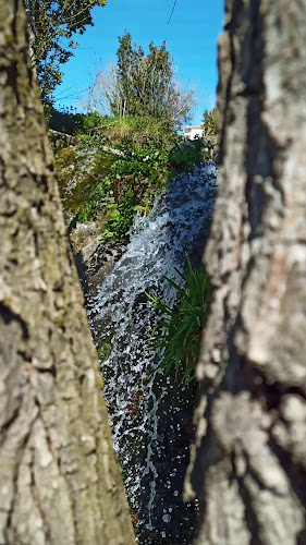 Churrasqueira Central de Oliveira do Hospital - Oliveira do Hospital