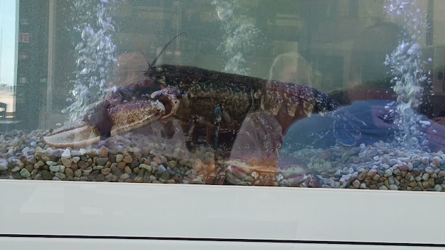 Av. Gen. Humberto Delgado 9, 2825-280 Costa da Caparica