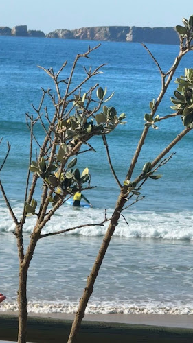 Tribo da Praia - Bar da Praia - Gastronomia e hotelaria