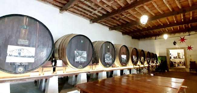 Quinta das Cerejeiras - Wine Shop - Museum - Wine Tourism