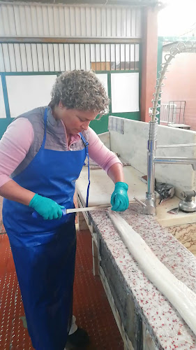 http://www.cm-seixal.pt/o-comercio-local-esta-sua-porta/mercados-municipais