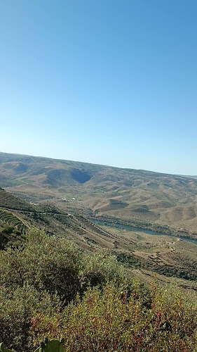 Comentarii opinii despre Barca D'Alva