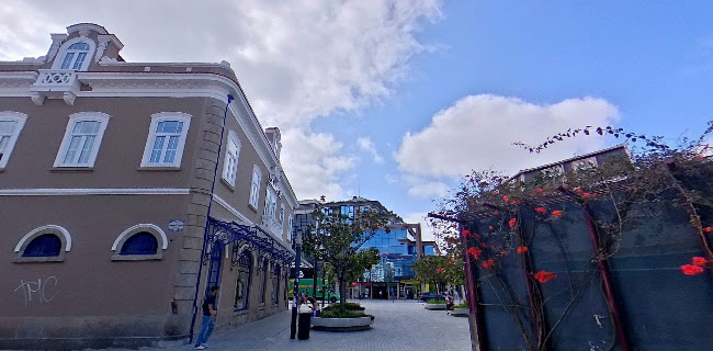 Raiz - O Vegetariano do Bairro - Aveiro