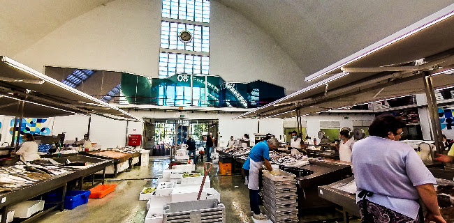 R. França Júnior, 4450-135 Matosinhos