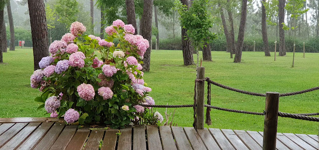 Opinii despre São Lourenço by Trincanela în Abrantes - Gastronomia e hotelaria