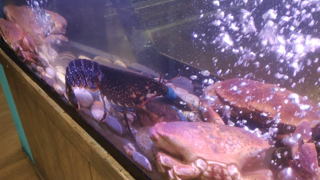 Mercearia do Fanqueiro by Vítor Palmilha - Loures