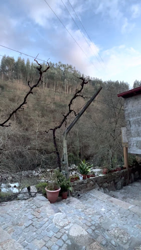 Opinii despre Moinhos da Lomba Adega Regional în Lomba - Gastronomia e hotelaria