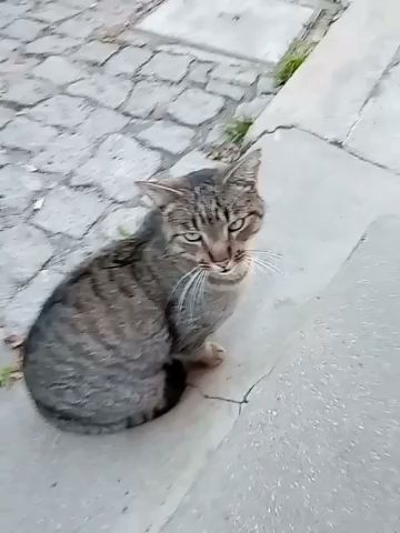 Associação Cultural Recreativa Desportiva Santa Marta Alvre